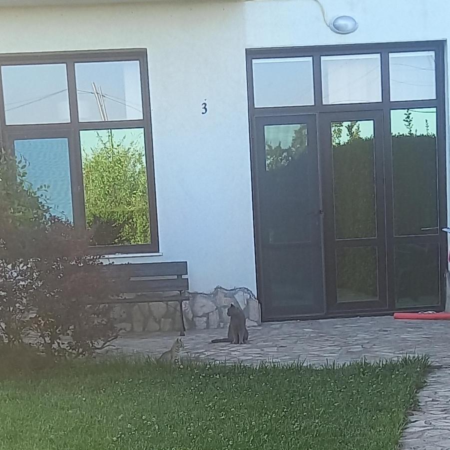 Villa Ketli Apartment Bliznatsi Exterior photo